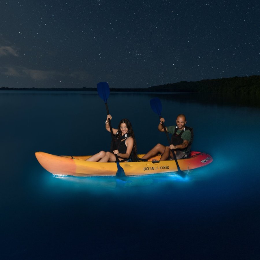  Una pareja de kayakistas rema a través de una bahía bioluminiscente en Puerto Rico.